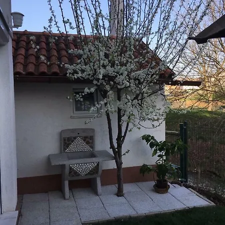 Omladinska 66 71320 Vogosca * Semizovac